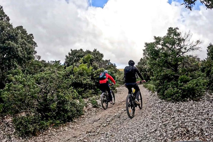 Picture 7 for Activity Cala Gonone and Dorgali e-bike tour