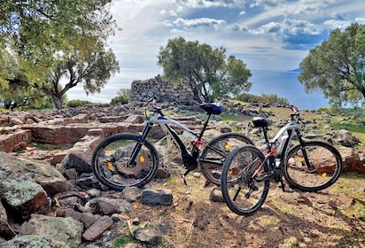 Cala Gonone and Dorgali e-bike tour