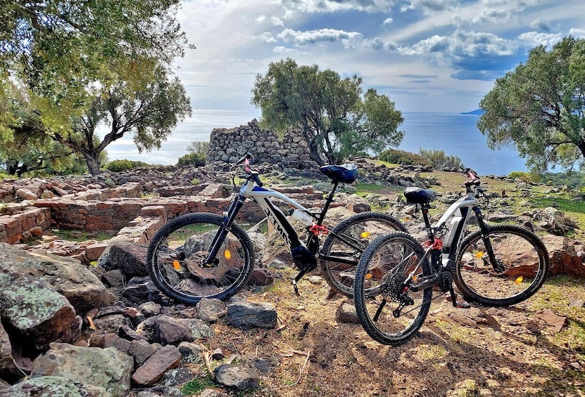 Cala Gonone and Dorgali e-bike tour