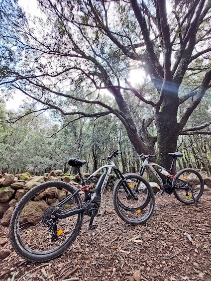 Picture 2 for Activity Cala Gonone and Dorgali e-bike tour