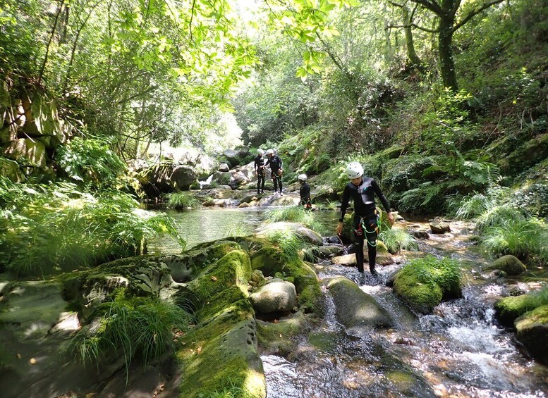 Picture 12 for Activity From Arouca: Canyoning Discovery - Adventure Tour