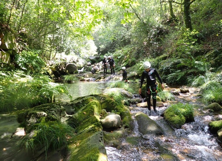 Picture 12 for Activity From Arouca: Canyoning Discovery - Adventure Tour