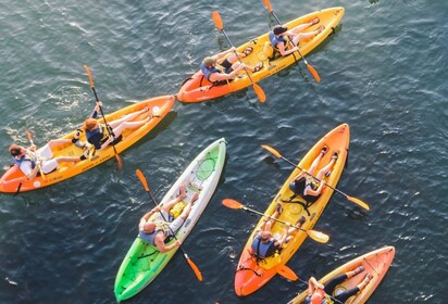 Austin: alquiler de kayaks individuales o dobles