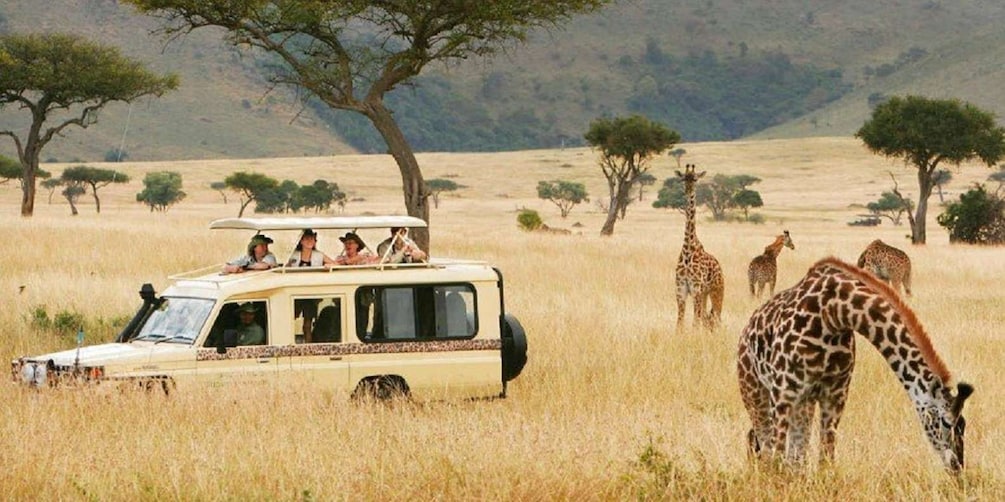 Picture 2 for Activity 7 Days Tanzania Budget Camping Safari