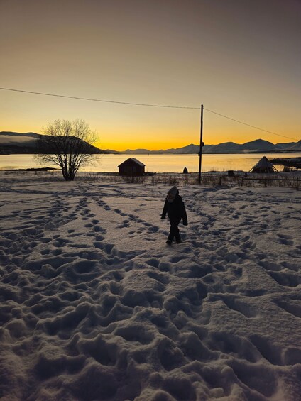 Picture 16 for Activity From Tromsø: Arctic Wildlife & Fjord Sightseeing Tour by Car