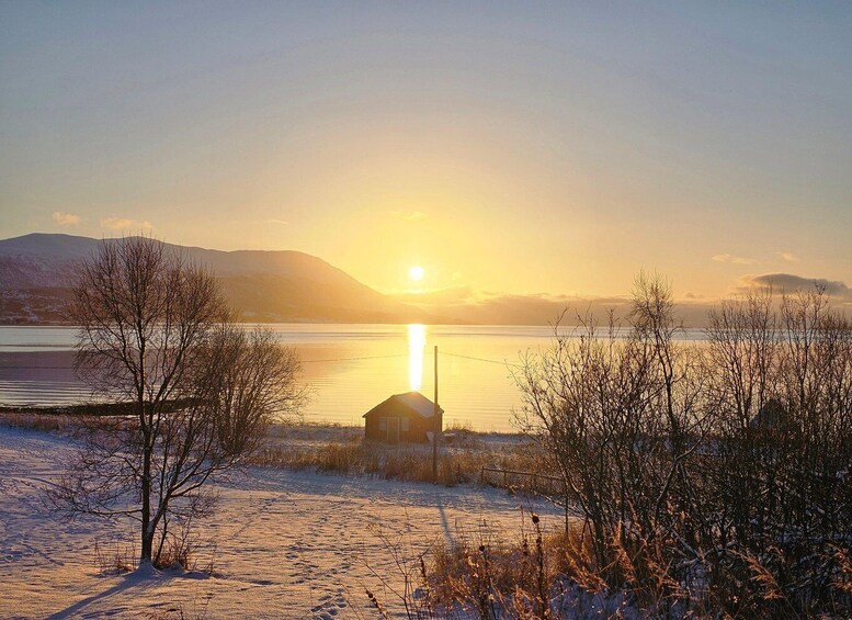 Picture 12 for Activity From Tromsø: Arctic Wildlife & Fjord Sightseeing Tour by Car