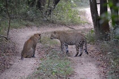 Viaje de 2 días a los Parques Nacionales de Sri Lanka