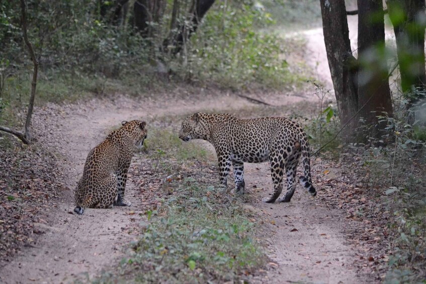 Sri Lanka 2-Day National Parks Trip