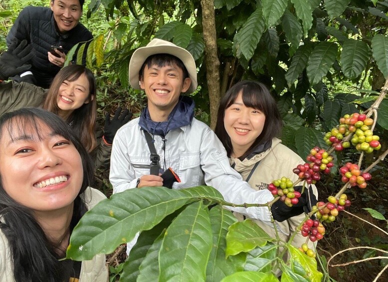 Picture 8 for Activity Dalat Organic farm, discover how to make specialty coffee