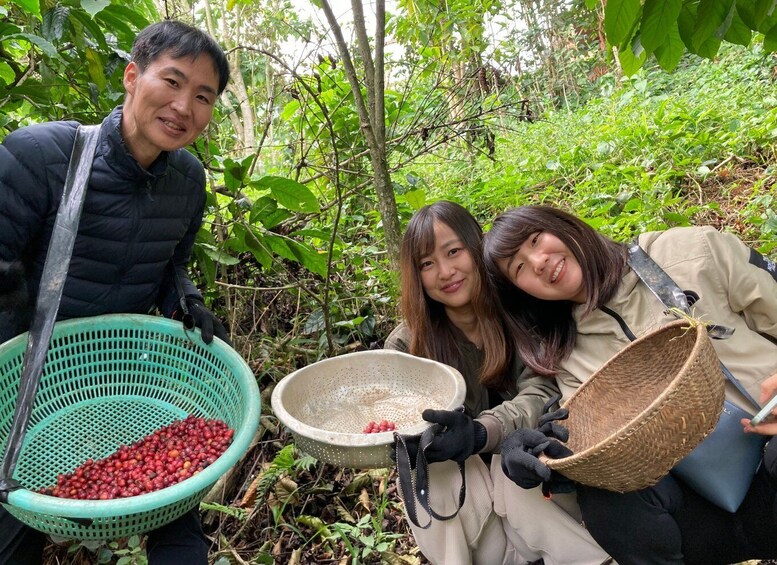 Picture 10 for Activity Dalat Organic farm, discover how to make specialty coffee