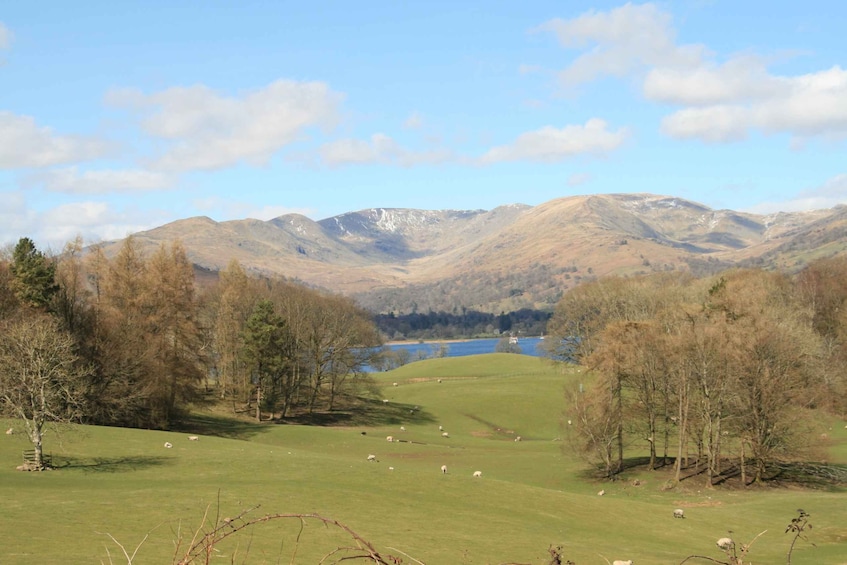 Picture 3 for Activity Lake District: Langdale Valley and Coniston Half-Day Tour