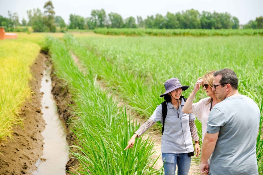 Picture 4 for Activity Ho Chi Minh City: Mekong Delta Full-Day Speedboat Tour