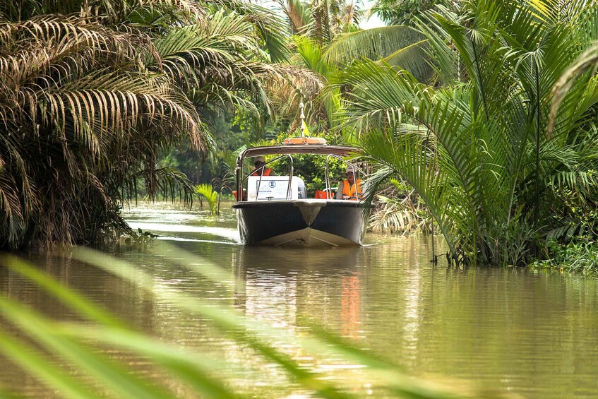 Picture 9 for Activity Ho Chi Minh City: Mekong Delta Full-Day Speedboat Tour