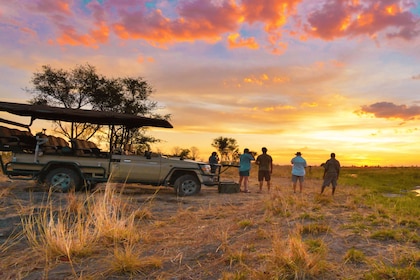 From Victoria Falls : Hwange Day and Overnight Safari