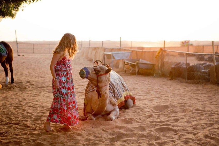 From Agadir : Camel Ride & Spa Half-Day Trip