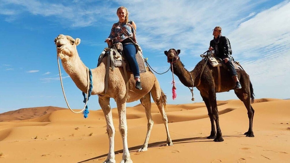 Picture 1 for Activity From Agadir : Camel Ride & Spa Half-Day Trip