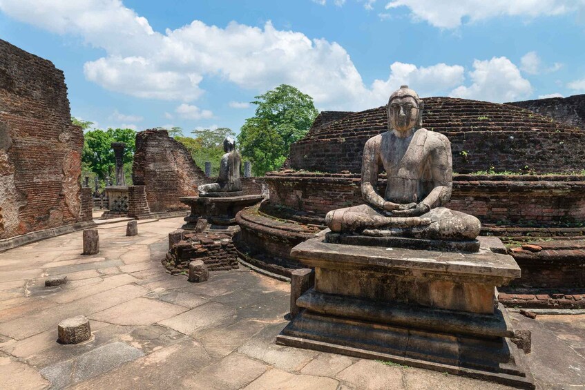Picture 4 for Activity Day Trip to the Ancient City of Polonnaruwa from Negombo