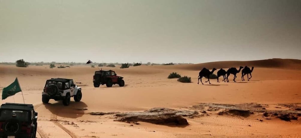 Picture 1 for Activity From Riyadh: Desert Safari in Thumammah