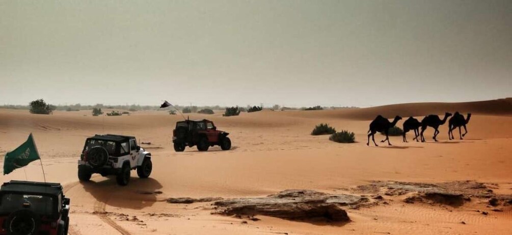 Picture 1 for Activity From Riyadh: Desert Safari in Thumammah