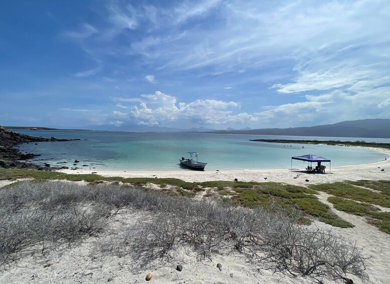 Picture 3 for Activity Loreto: Speedboat Tour with Swimming, Snorkeling and Picnic