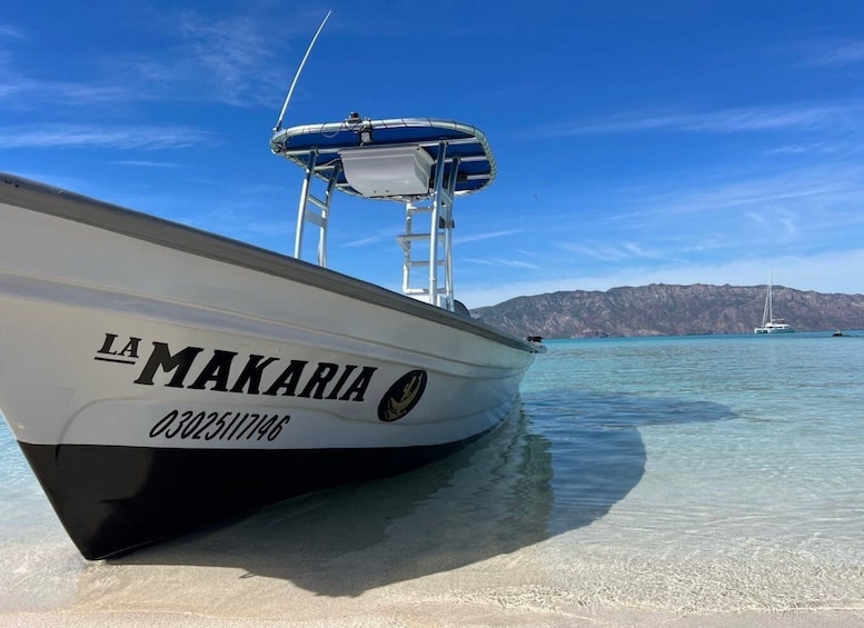 Loreto: Speedboat Tour with Swimming, Snorkeling and Picnic