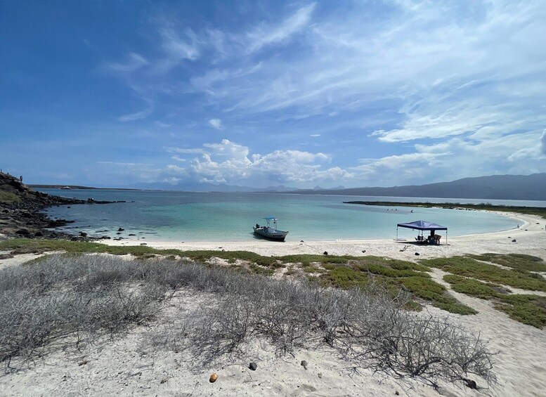 Picture 3 for Activity Loreto: Speedboat Tour with Swimming, Snorkeling and Picnic