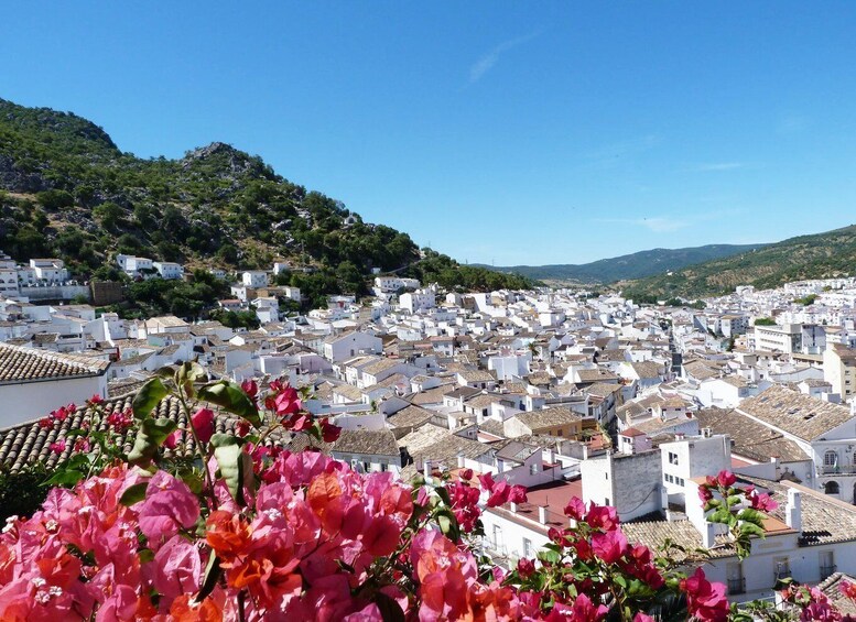 Picture 4 for Activity Seville: Day Trip to White Towns of Andalusia