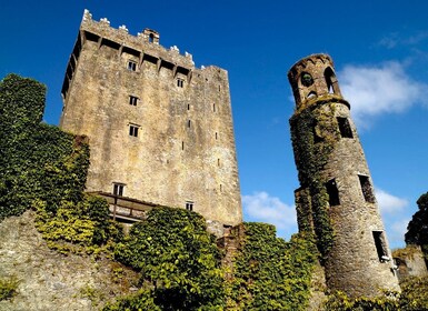 Tur Sehari Penuh Kastil Blarney dari Dublin