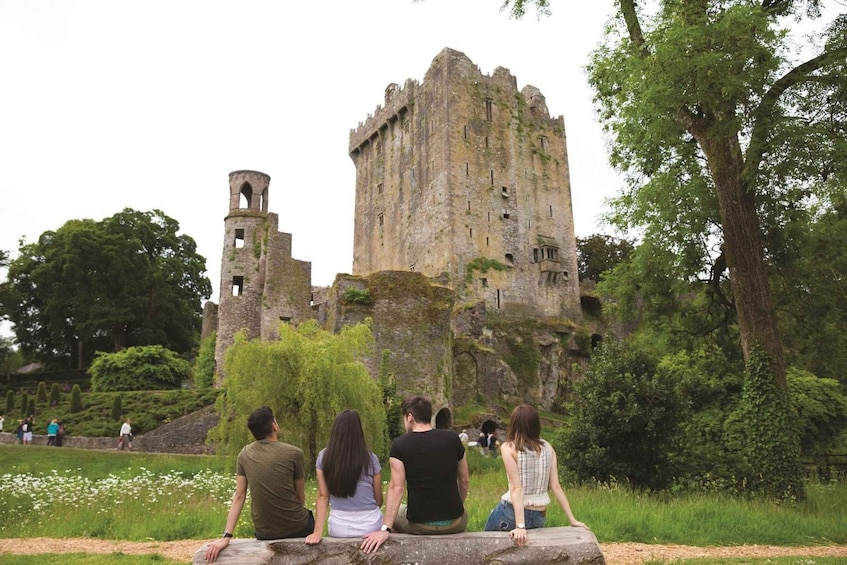 Picture 7 for Activity Blarney Castle Full-Day Tour from Dublin