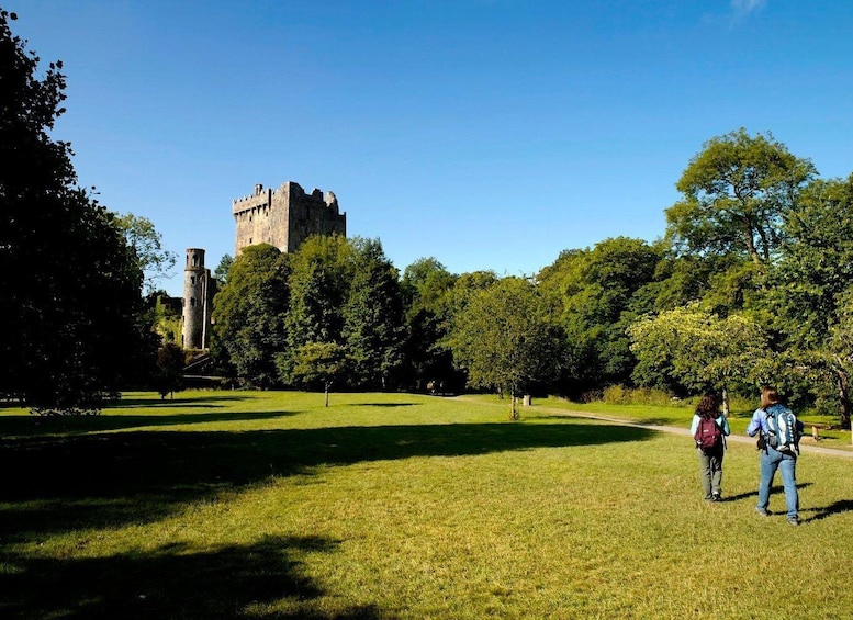 Picture 6 for Activity Blarney Castle Full-Day Tour from Dublin