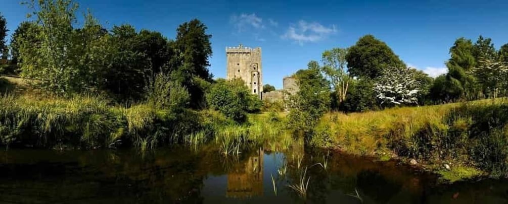 Picture 1 for Activity Blarney Castle Full-Day Tour from Dublin