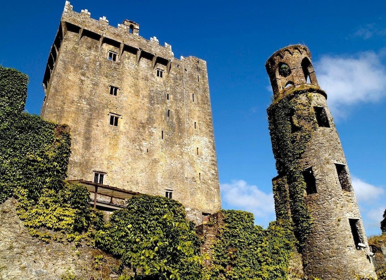 Blarney Castle Full-Day Tour from Dublin