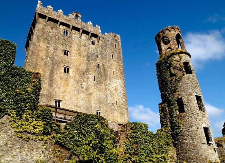 Blarney Castle Full-Day Tour from Dublin