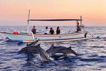 Bali Lovina dolphin Tour & Watching Sunrise