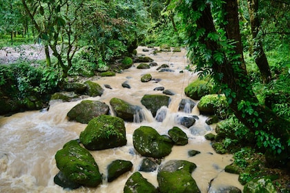 Sundarijal to Chisapani Hike