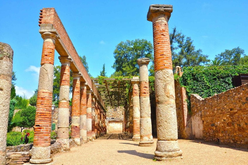 Picture 4 for Activity Mérida - Private Historic Walking Tour