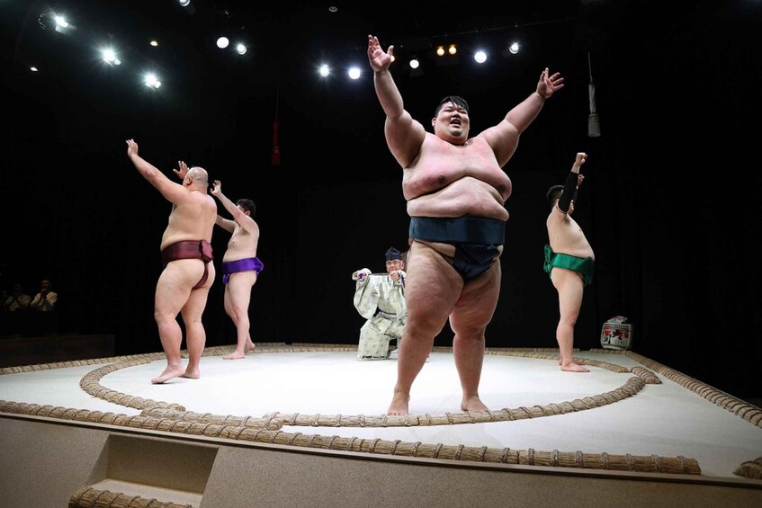 Picture 7 for Activity Osaka: Exciting Sumo Entertainment Show Experience