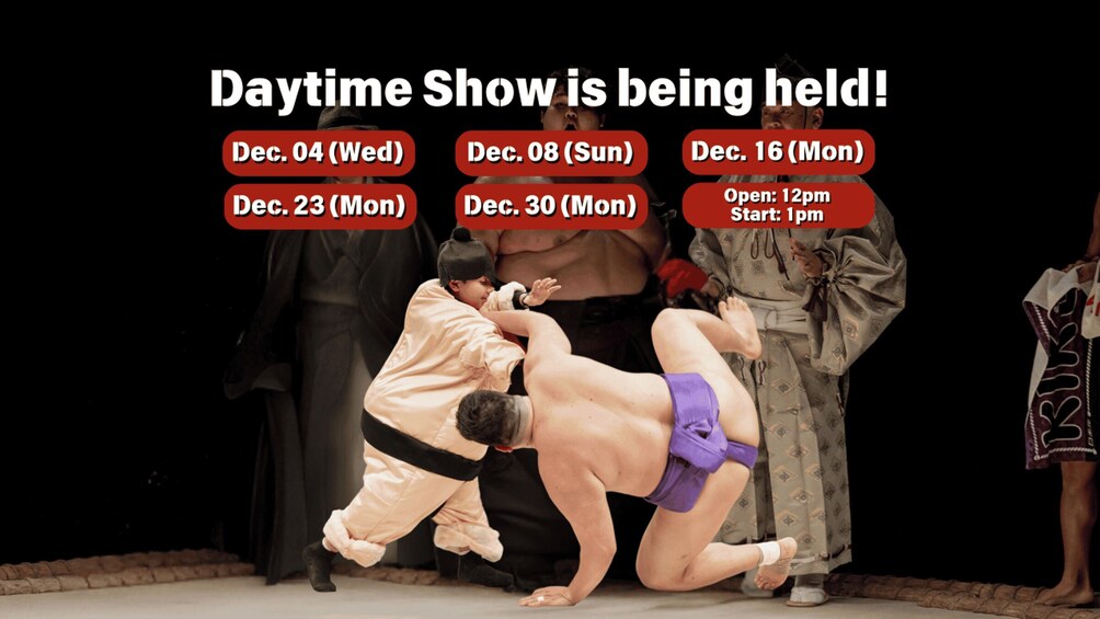 Picture 1 for Activity Osaka: Sumo Stage Show with Bento & Fight + Photo Shooting