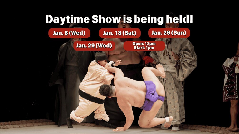 Picture 1 for Activity Osaka: Sumo Stage Show with Bento & Fight + Photo Shooting