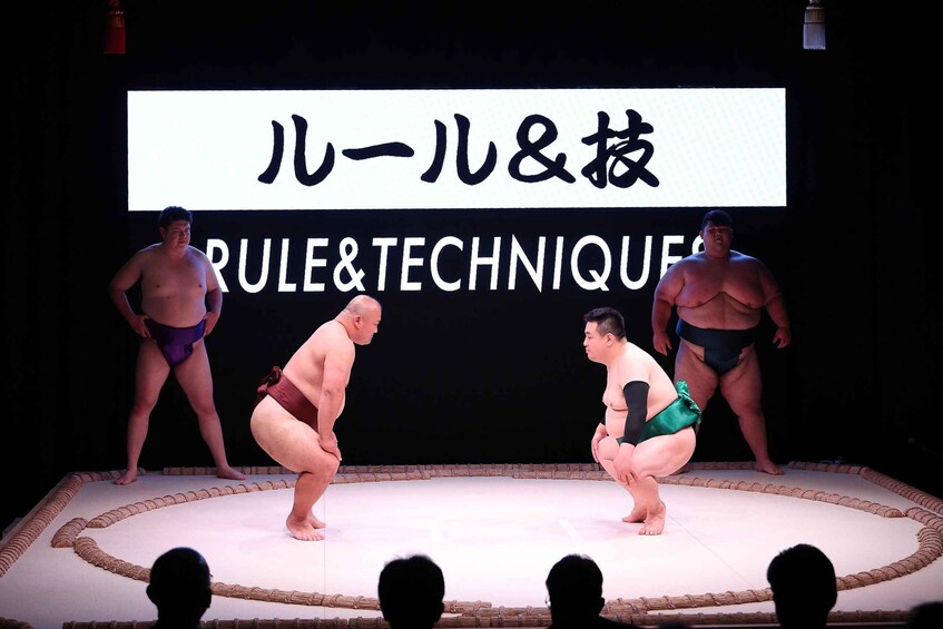 Picture 2 for Activity Osaka: Sumo Stage Show with Bento & Fight + Photo Shooting