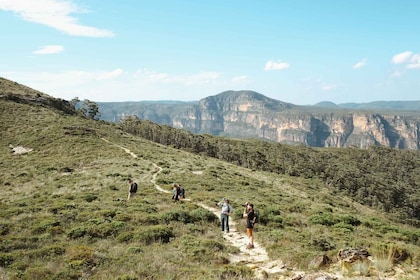 From Sydney| Private Blue Mountains Tour| Waterfalls & Views