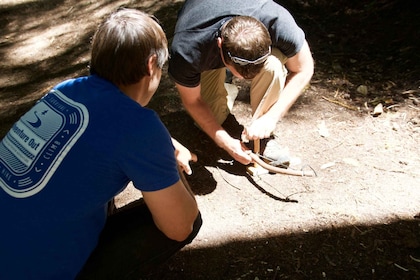 5-Hour Wilderness Skills & Survival Clinic