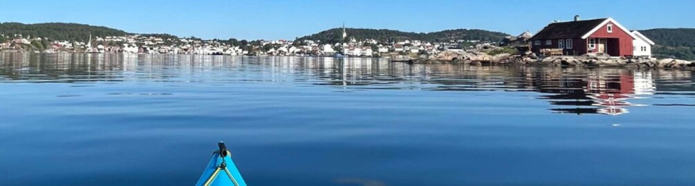 Picture 6 for Activity Lillesand: Private Winter Kayak Tour