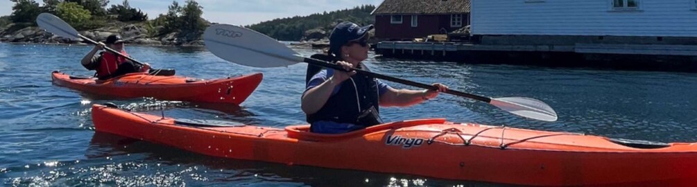 Picture 5 for Activity Lillesand: Private Winter Kayak Tour