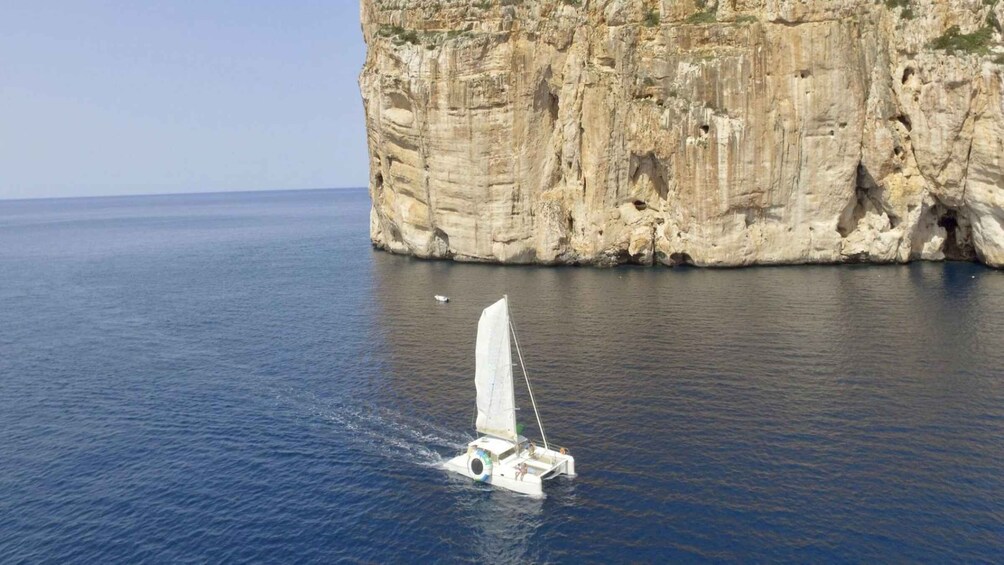 Picture 10 for Activity Alghero: Full day on a catamaran in Porto Conte Natural Park