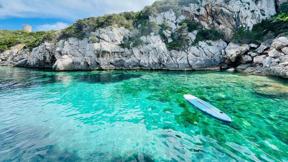 Picture 7 for Activity Alghero: Full day on a catamaran in Porto Conte Natural Park