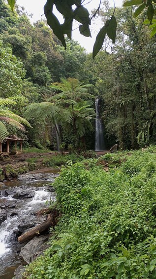 Picture 6 for Activity Lombok Day Trip: Waterfall, rice Terrace, Bamboo handycraft