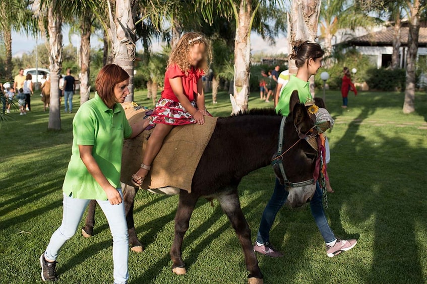 Picture 3 for Activity Partinico: Farm's Animals and Aromatic Garden Experience