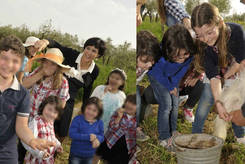 Picture 4 for Activity Partinico: Farm's Animals and Aromatic Garden Experience