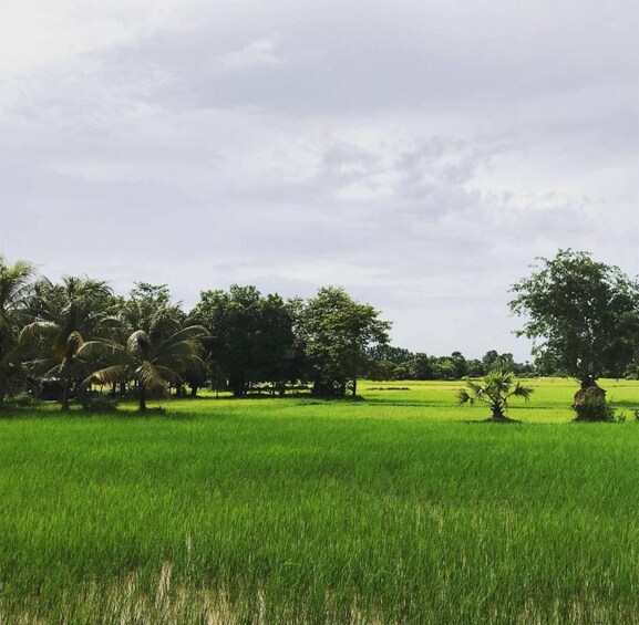 Picture 3 for Activity Private Tour to Sambor Prei Kuk 1500yl Temple from Siem Reap